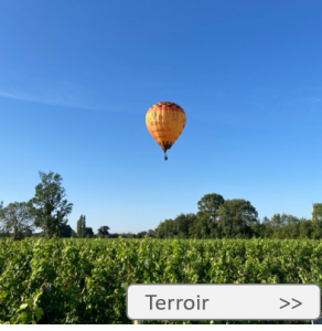 terroir kachel