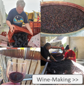 wine making kachel
