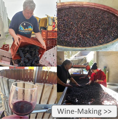 wine making k.jpg