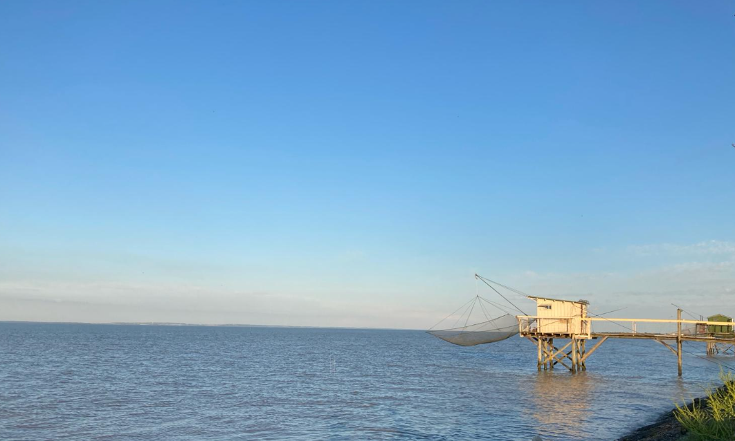 estuary